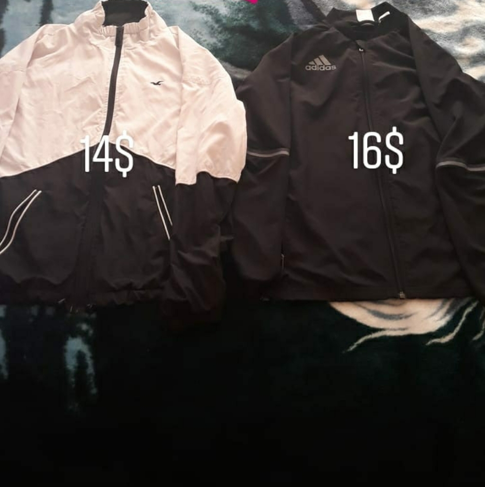 Hollister and Adidas